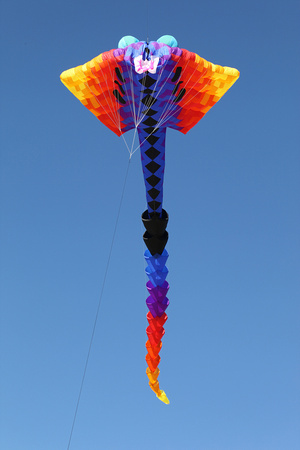 Atlantic Beach, North Carolina kite festival
