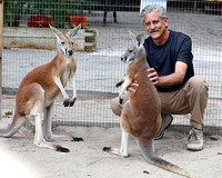Me, with kangaroos
