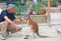 Me with kangaroo