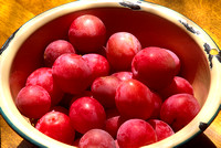 Fresh picked plums