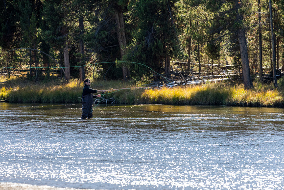Fly Fisherman in Wyoming